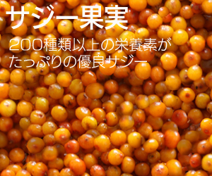 サジー果実