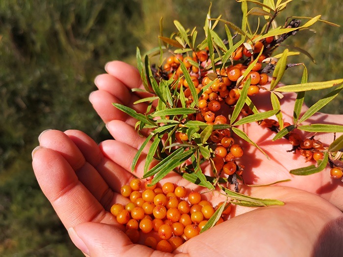 宇航人ブランドのサジー